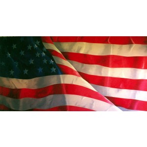American Flag Backdrop 2